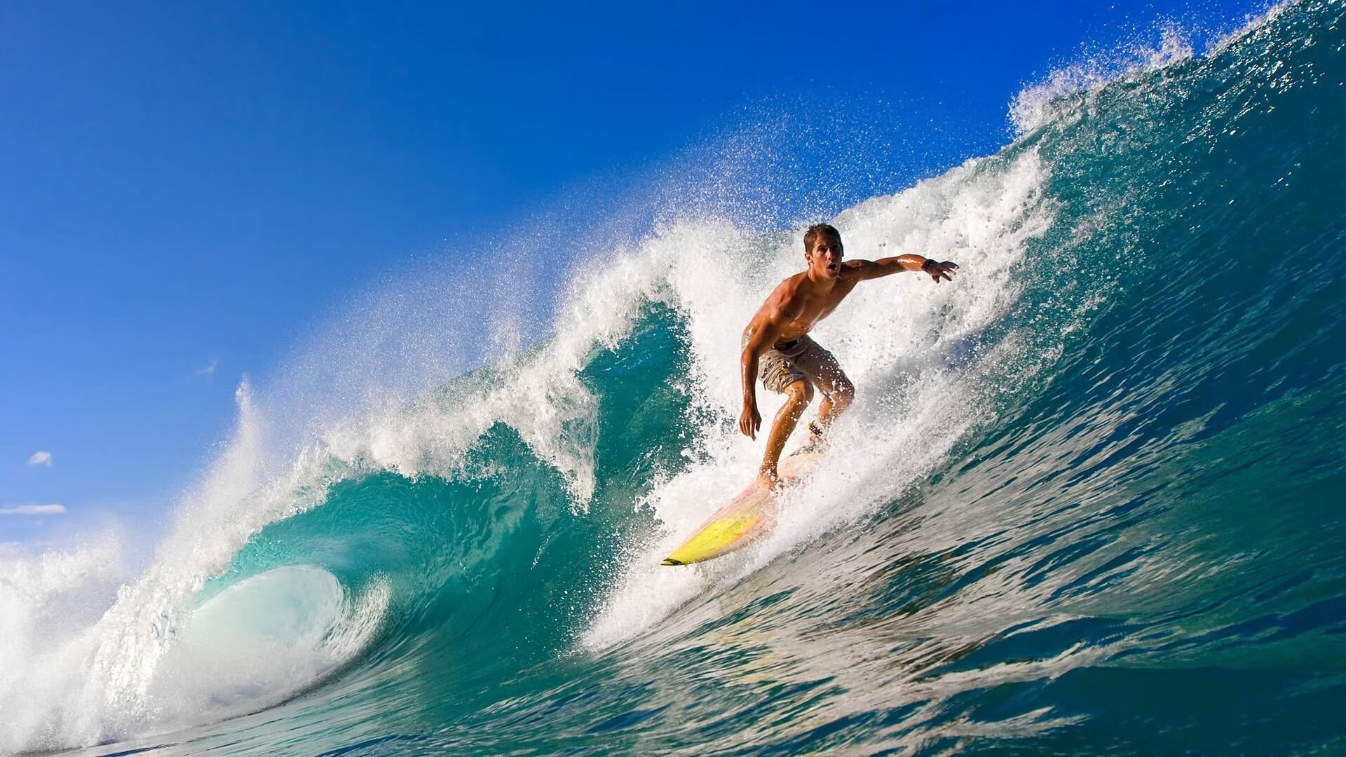 BLG黑马之路点燃全场激情,黑马love