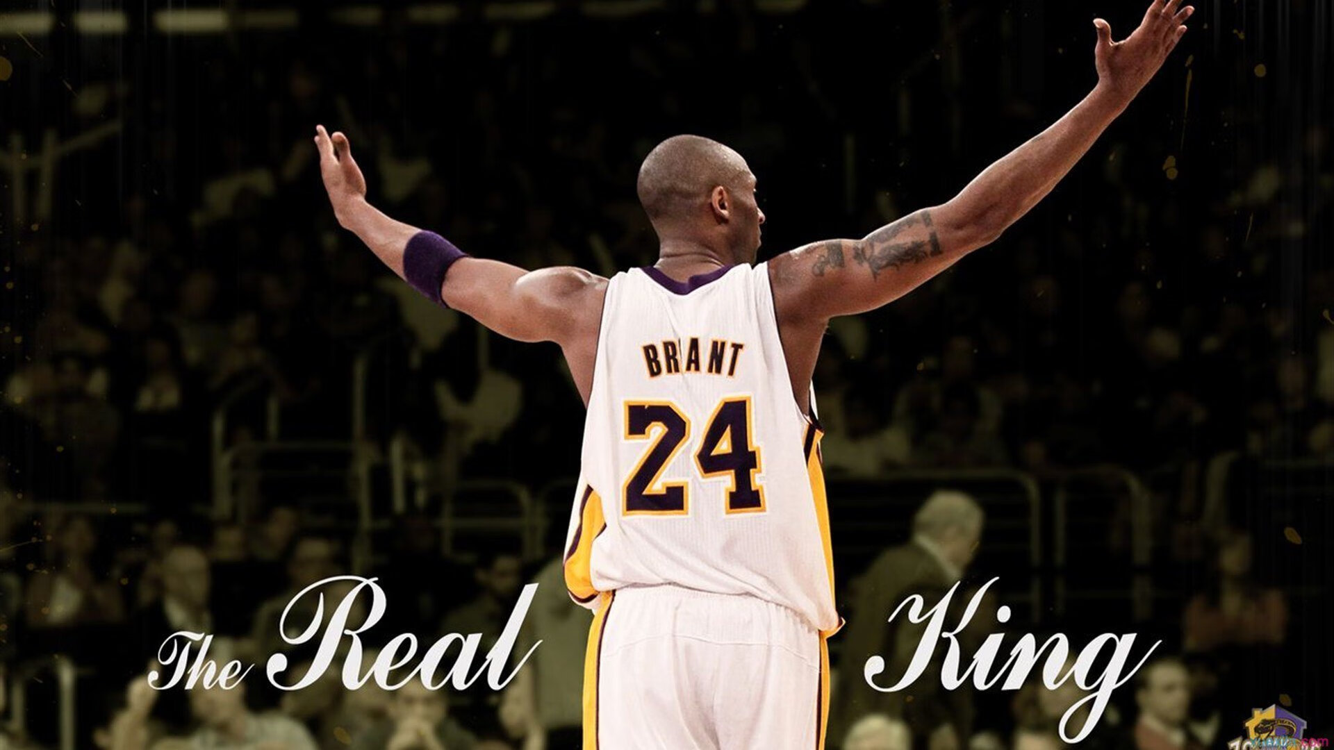 BLG黑马之路点燃全场激情,黑马love